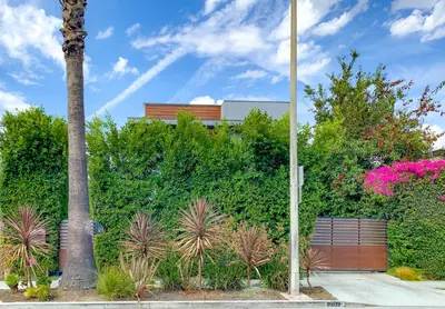 a palm tree in front of a fence with plants at Luxury Living in West Hollywood Modern 3BR Home w Pool & Hot tub in Los Angeles