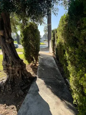 a sidewalk next to a tree in a park at King's Suite Escape in Ontario