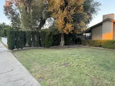 a yard with a tree and a building at King's Suite Escape in Ontario