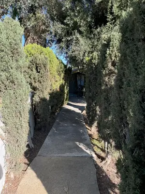 a walkway through a hedge with a pathway at King's Suite Escape in Ontario