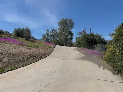 an empty road with purple flowers on the side at Riverside Views & Pool Retreat in Riverside