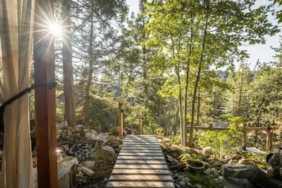 a wooden walkway in a forest with the sun shining at Perch - Peaceful ECO Cedar Hot Tub AC EV Mountain Views in Running Springs