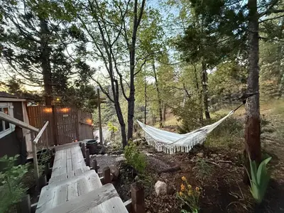 a hammock in the woods next to a house at Perch - Peaceful ECO Cedar Hot Tub AC EV Mountain Views in Running Springs