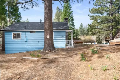 a blue house with a tree in front of it at Bluebird Cabin, Indoor Fireplace, Next to Lake! in Green Valley Lake