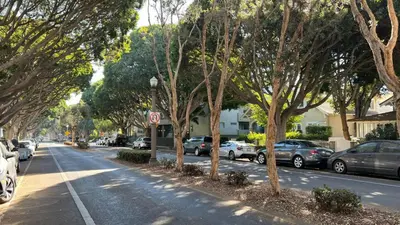 a tree lined street with cars parked on the side of the road at Seabreeze Hideaway one bedroom in Los Angeles