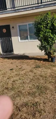 a house with a tree in front of it at El Rio Motel in Glendale