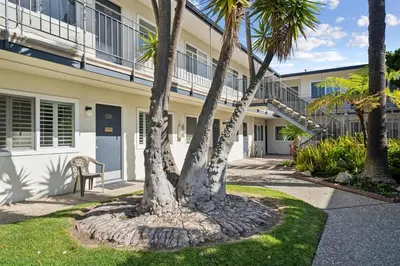 a pair of palm trees in front of a building at Lovely 1 Bed Beach Condo #128 in Carpinteria