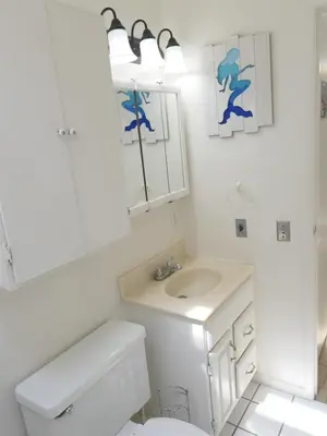a bathroom with a toilet and a sink and a mirror at 4902 Sandyland Road #247 in Carpinteria