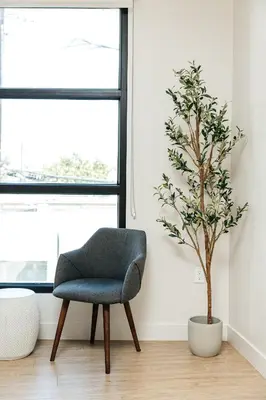 a chair and a potted tree in a room at Stunning 2BR apartment steps from Santa Monica pier in Los Angeles