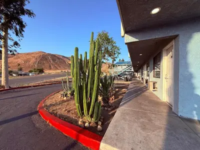 a group of cacti on a sidewalk next to a building at Circle Inn Hotel - Jurupa Valley Riverside 60 Fwy in Riverside