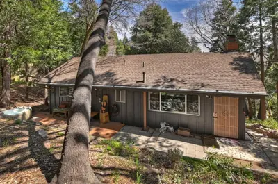 a house with a tree in front of it at The Lazy Bear Cabin - For 6 in Crestline