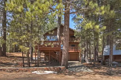 a tree house with a deck in the woods at Tres Patos - Lakefront Stay for 8 in Green Valley Lake