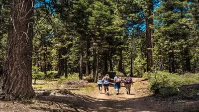 a group of people walking on a trail in the woods at Walk to Village & Alpine Slide - Almost a View in Big Bear Lake