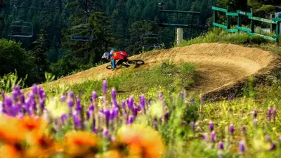 a person riding a bike on a hill with flowers at Walk to Village & Alpine Slide - Almost a View in Big Bear Lake