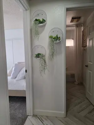 a room with three plants hanging on the wall at Minimalist Lake House in Helendale