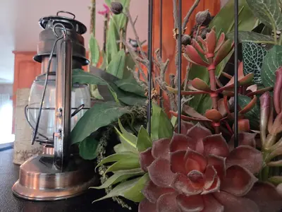 a lamp sitting on a table next to some plants at Zen Den Studio in Apple Valley