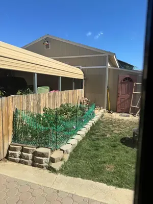 a fence in front of a house with a yard at Master bedroom in Bakersfield