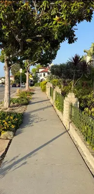 a sidewalk with trees on the side of a street at Charming Casita near USC, SOFI, and Culver City in Los Angeles