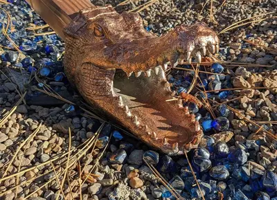 an alligator head with its mouth open on rocks at The Quiz Cottage Games & BBQ Outdoor Area! in Big Bear Lake