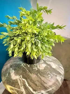 a vase with a plant in it on a table at Penthouse with Hollywood Sign View 2 Bedrooms with 3 Beds in Los Angeles