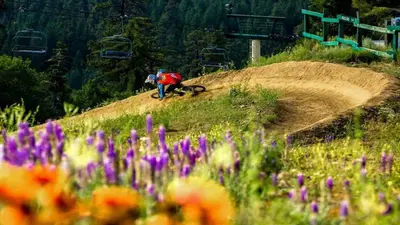 a person riding a bike on a hill with flowers at The Wilderness Haven in Big Bear Lake