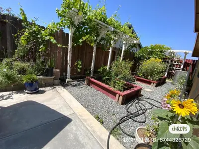 a garden with potted plants and a fence at 1 bedroom in a quiet neighborhood near the main street - Room B in Rowland Heights