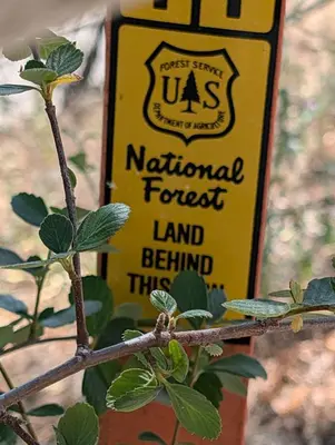 a sign for a national forest land behind a tree at Peaceful Pines Place, a cozy mountain hideaway wAC