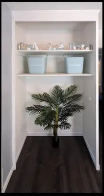 a palm tree in a shelf with a plant at Spacious 3 bedroom home by Melrose and 10 minutes to Hollywood Walk of Fame in Los Angeles