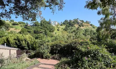 a hill with trees and a building on top of it at Malibu Nature Escape - 2BR Hideaway Nestled in the Woods, Minutes from the Beach in Malibu