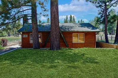 a small cabin with two trees in the grass at Meadow-Front Metcalf Bay Gem #542 in Big Bear Lake