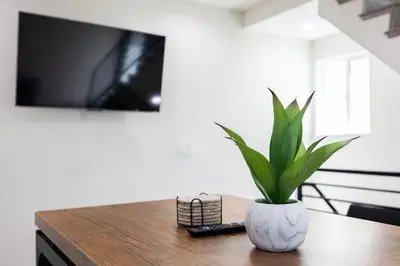 a plant in a white vase sitting on a table at Sunset Chateau Hollywood in Los Angeles