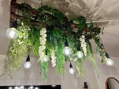 a bunch of plants hanging from a ceiling at 4 Min Walk to Beach and Restaurants in Manhattan Beach