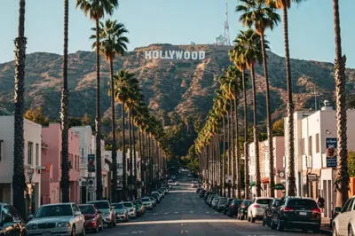 a city street lined with palm trees and a hollywood sign at Coldwater Canyon ADU in Los Angeles