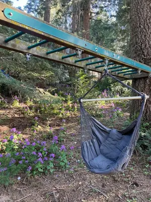 a hammock hanging from a tree in a garden at Fam & Pet Friendly Chalet w AC & BBQ - Top Rated in Crestline