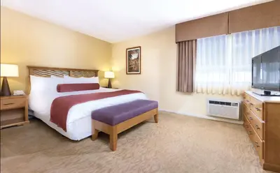 a hotel room with a bed and a flat screen tv at Dolphin's Cove in Anaheim