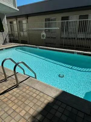 a large blue swimming pool next to a building at 1140 Alta Loma in Los Angeles