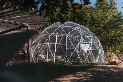 a glass dome greenhouse in a garden at Mid-Century Modern Hillside Escape With Dome and Views in Los Angeles