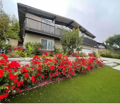 a garden with red flowers in front of a house at Spacious and Exclusive Oasis 6BR 3BA in Thousand Oaks