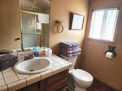 a bathroom with a sink and a toilet at Creek Runner Lodge in Big Bear Lake