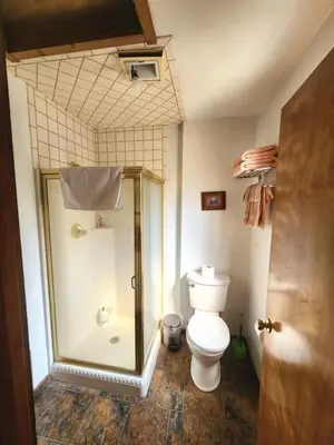 a bathroom with a shower and a toilet at Creek Runner Lodge in Big Bear Lake