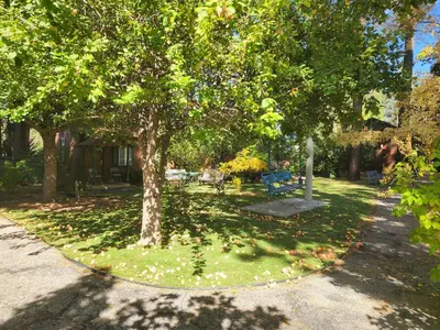 a park with a tree and a bench in the grass at Creek Runner Lodge in Big Bear Lake