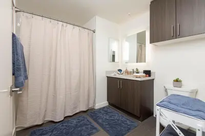 a bathroom with a shower curtain and a sink at Hollywood Stars 2 Bedroom Apartment in Los Angeles