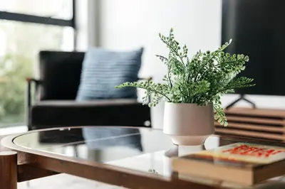 a coffee table with a vase with a plant on it at Superior 2 bedroom apartment in Heart of Hollywood in Los Angeles