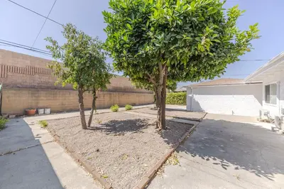 three trees in a driveway in a house at Cozy & Brand New 3BR Home in West Covina in West Covina