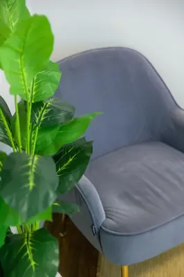 a blue chair next to a green plant at Charming and Cozy 1 Bedroom 1 Bathroom Guest Suite in Silverlake in Los Angeles