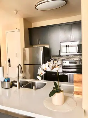 a kitchen with stainless steel appliances and a sink at Spacious 2B 2B Pool View Loft Apartment in Marina Del Rey in Los Angeles