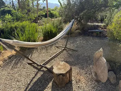 a hammock in a garden with a tree stump at Paradise at Tree Ranch Grove in Ojai