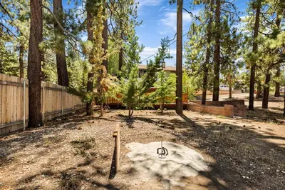 a yard with trees and a fence and a swing at Lawliss Hideout in Big Bear Lake in Big Bear Lake