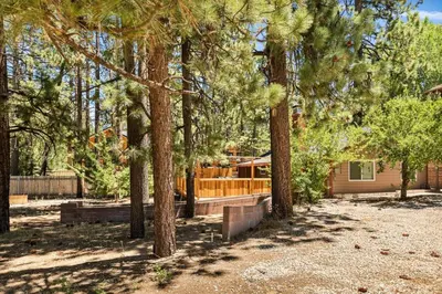 a yard with trees and a house in the background at Lawliss Hideout in Big Bear Lake in Big Bear Lake