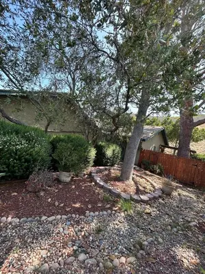 a tree in a yard next to a fence at Pet friendly 3BR Spacious Home EV in Riverside